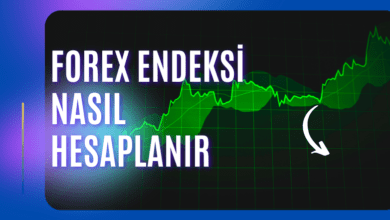 Forex Endeksi Nasıl Hesaplanır
