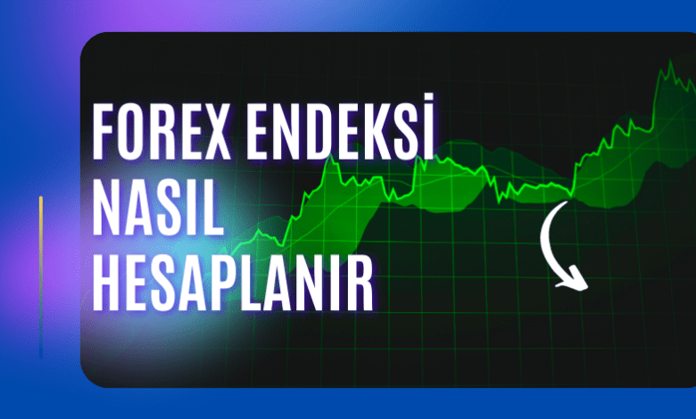 Forex Endeksi Nasıl Hesaplanır