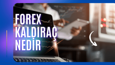 Forex Kaldıraç Nedir