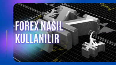 Forex Nasıl Kullanılır