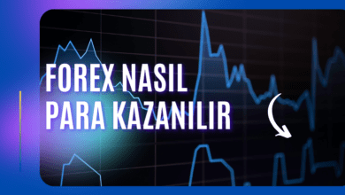Forex Nasıl Para Kazanılır