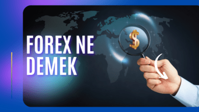 Forex Ne Demek