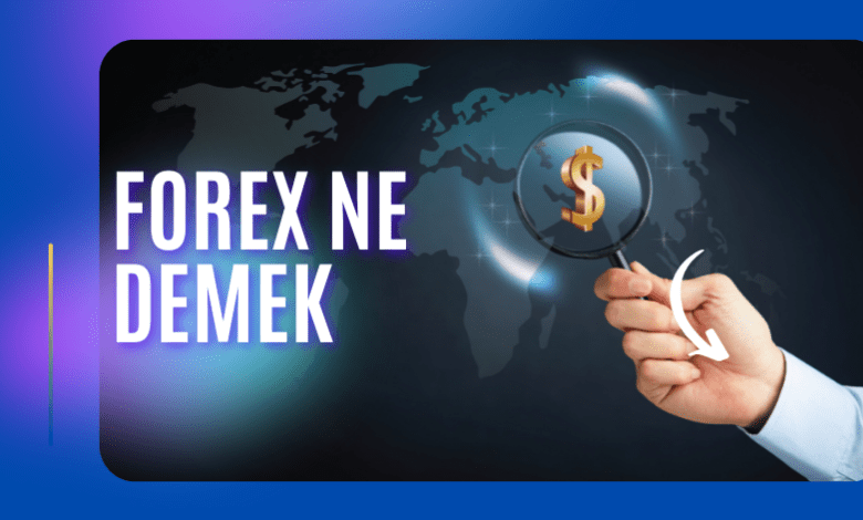 Forex Ne Demek