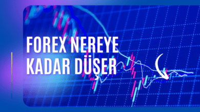 Forex Nereye Kadar Düşer