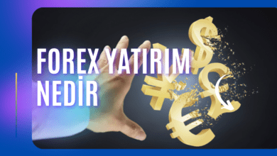Forex Yatırım Nedir