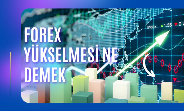 Forex Yükselmesi Ne Demek