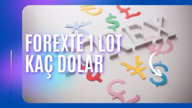 Forexte 1 Lot Kaç Dolar