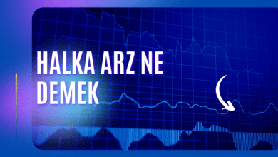 Halka Arz Ne Demek