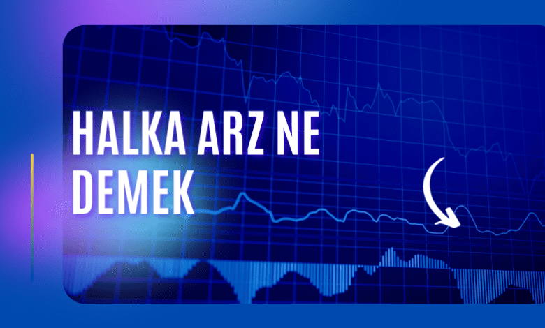 Halka Arz Ne Demek