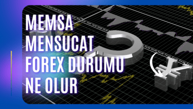 Memsa Mensucat Forex Durumu Ne Olur