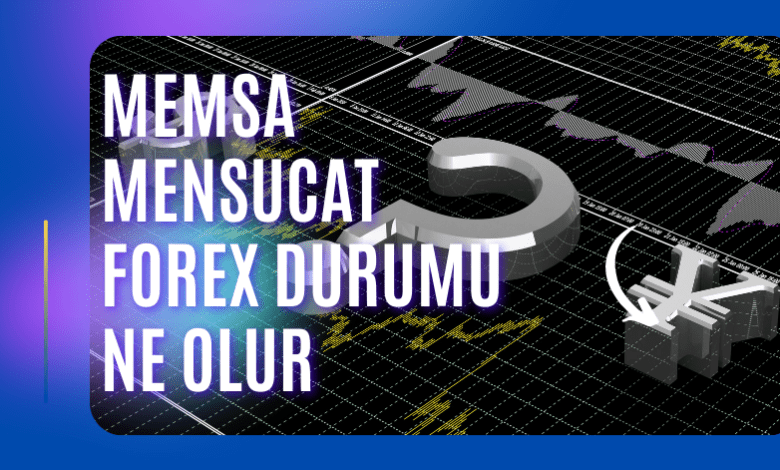 Memsa Mensucat Forex Durumu Ne Olur
