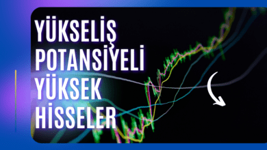 Yükseliş Potansiyeli Yüksek Hisseler