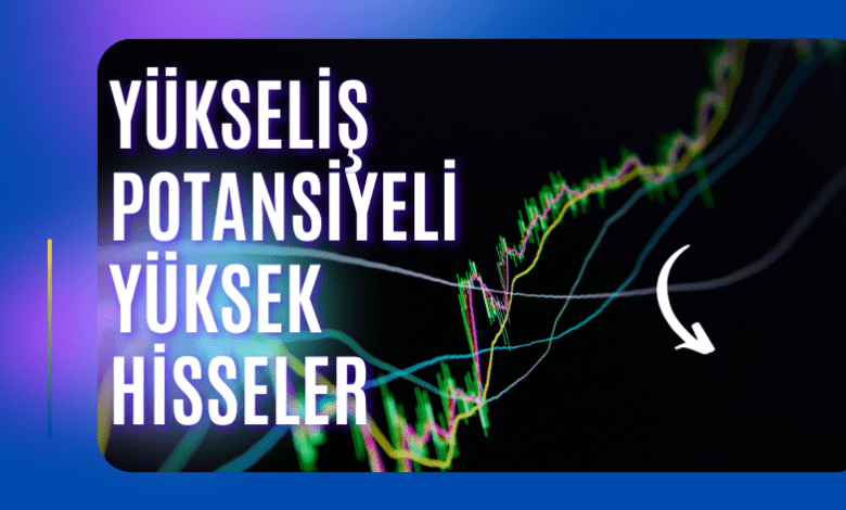 Yükseliş Potansiyeli Yüksek Hisseler